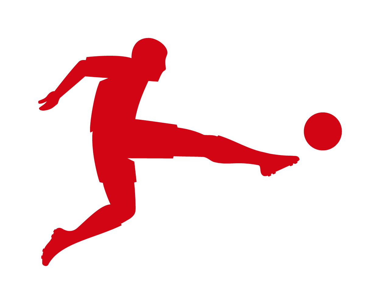 DFL Stiftung